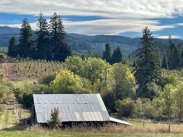 Early shot of the back field that was planted several years ago