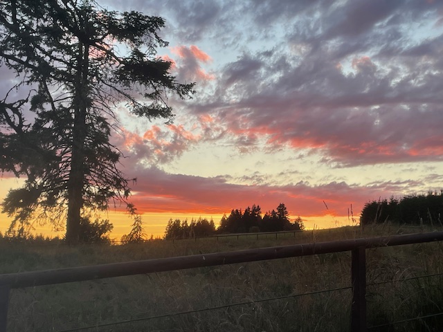 more beautiful sky over Trinity Truffles